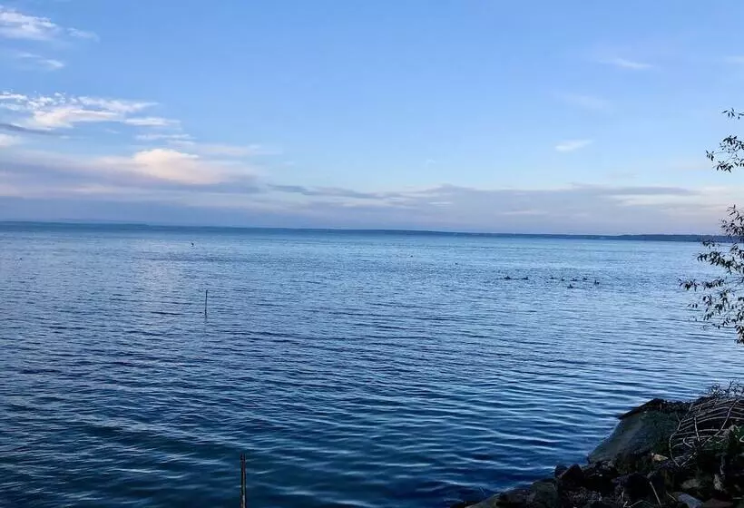 ホテル Royal Mediterran