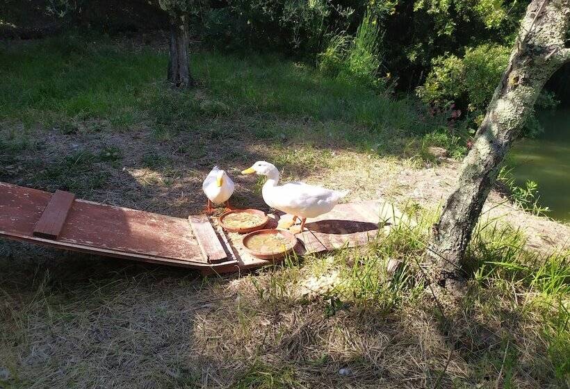 هتل Da Tilli Alla Fornace  Agriturismo