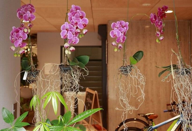 Отель Idocoro   Hostel