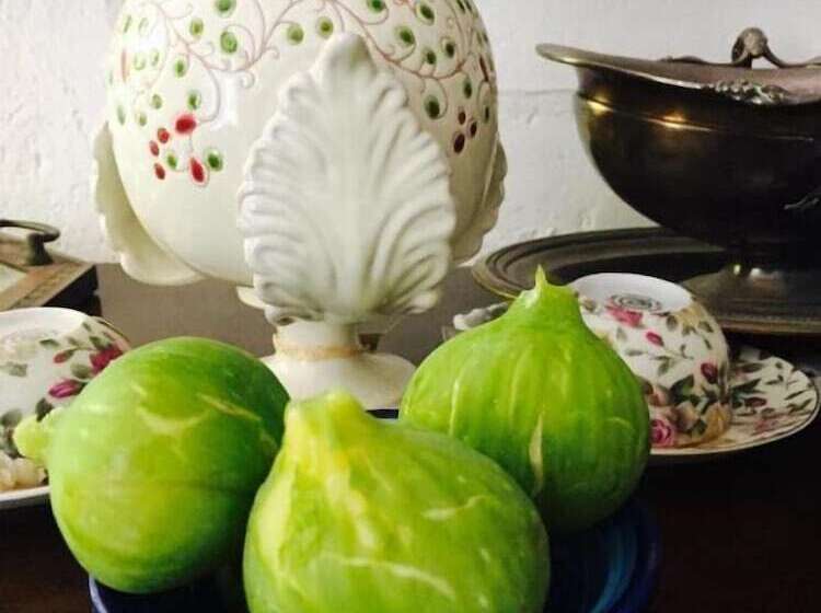 فندق Incanoa Inn