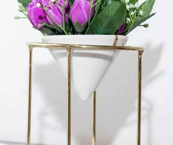 هتل Safari House Suite