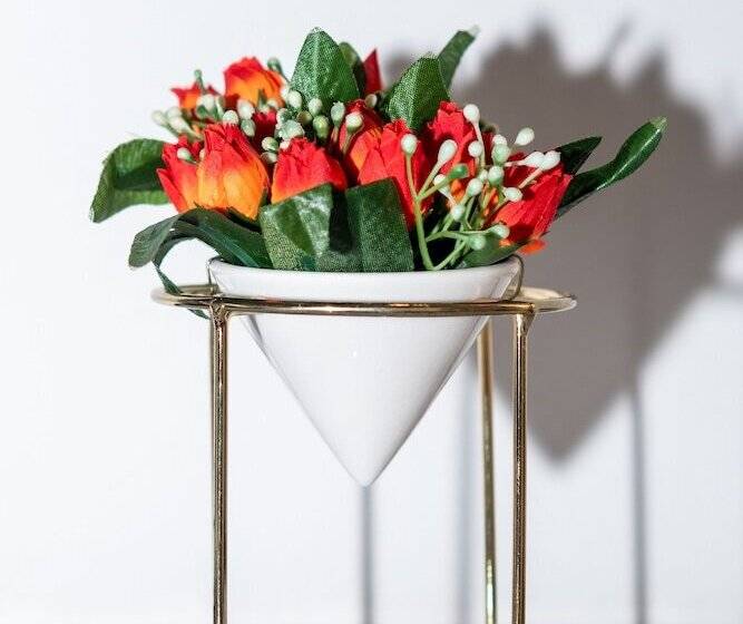 Otel Safari House Suite