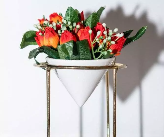 هتل Safari House Suite