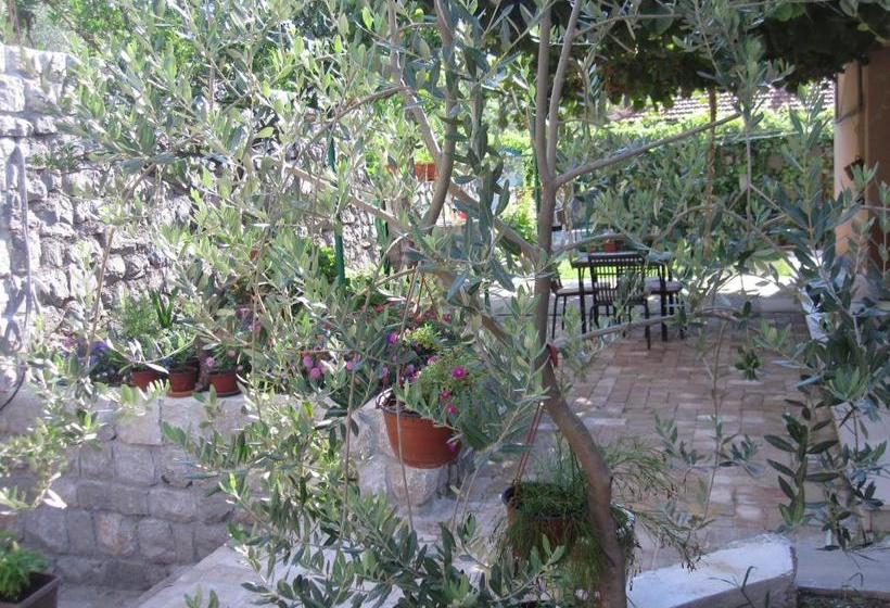 هتل Apartments City Center