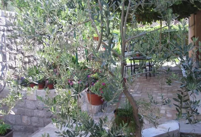 هتل Apartments City Center