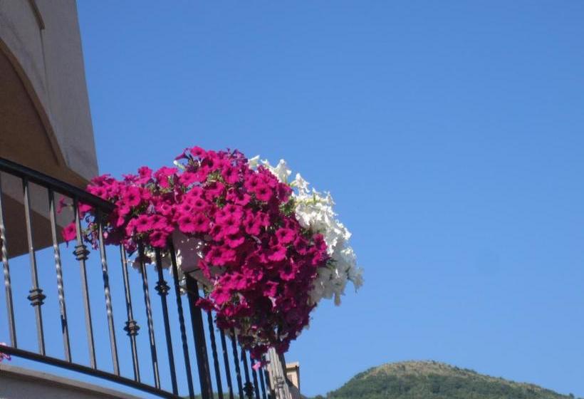 هتل Apartments City Center