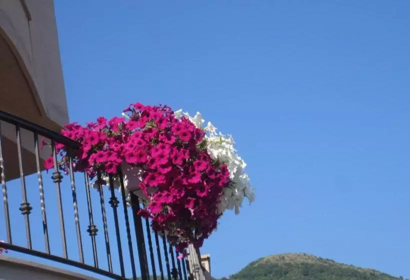 هتل Apartments City Center