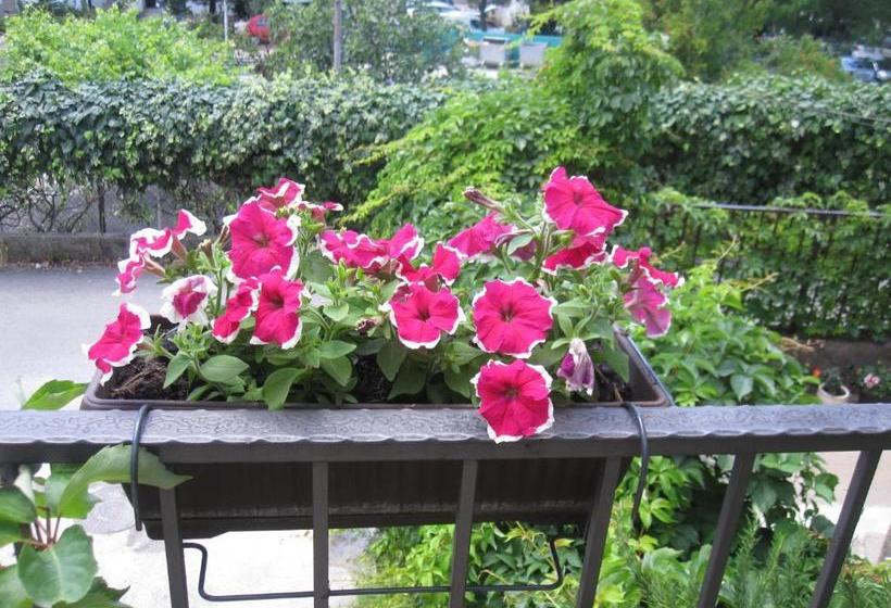 هتل Apartments City Center