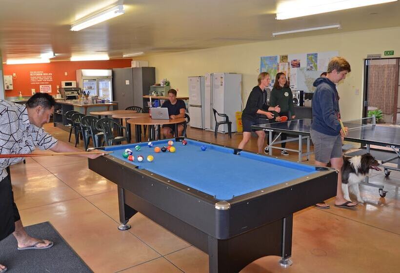 Отель Beachcomber Lodge & Backpacker