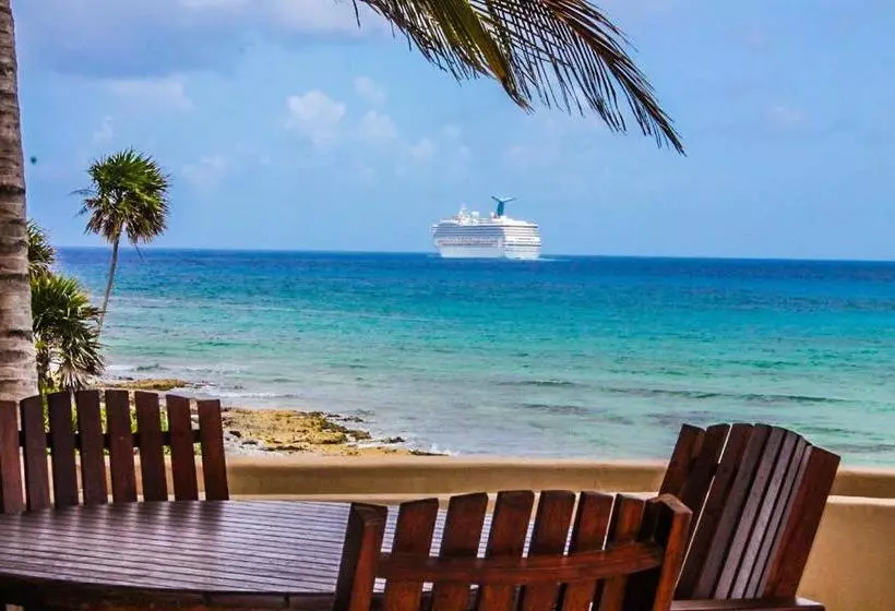 ホテル Costa Maya Villas Luxury Condos