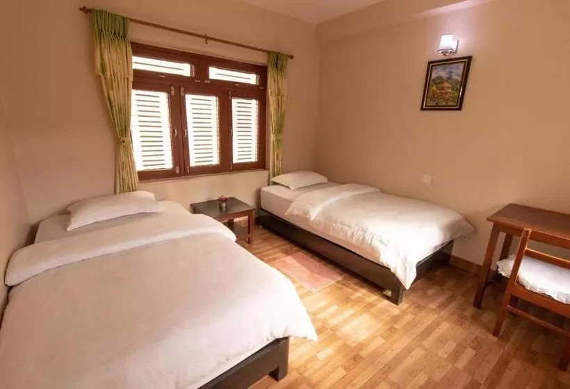 هتل New Tourist Guest House