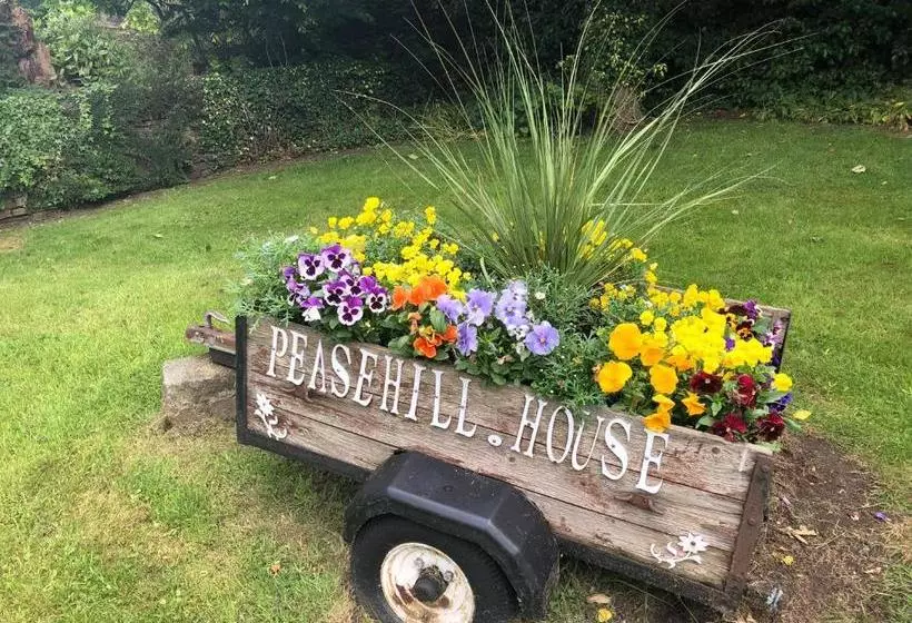 Hotelli Peasehill Bed & Breakfast
