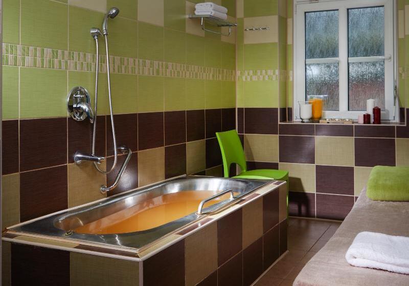 Hotel Spa Resort Libverda  Villa Friedland