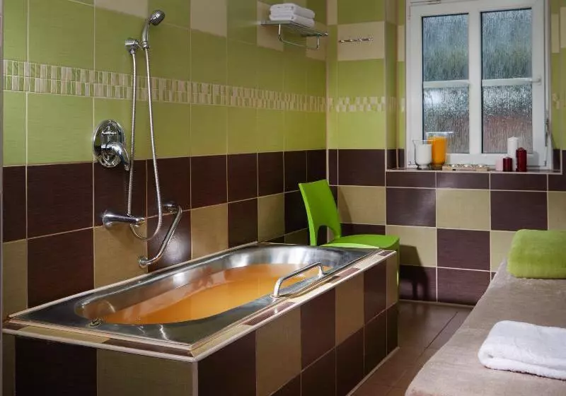 Hotelli Spa Resort Libverda  Villa Friedland