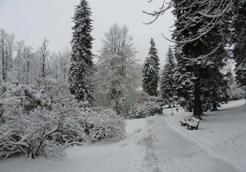 Hotel Spa Resort Libverda  Villa Friedland