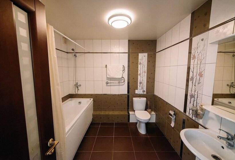 בית מלון כפרי Svoyak