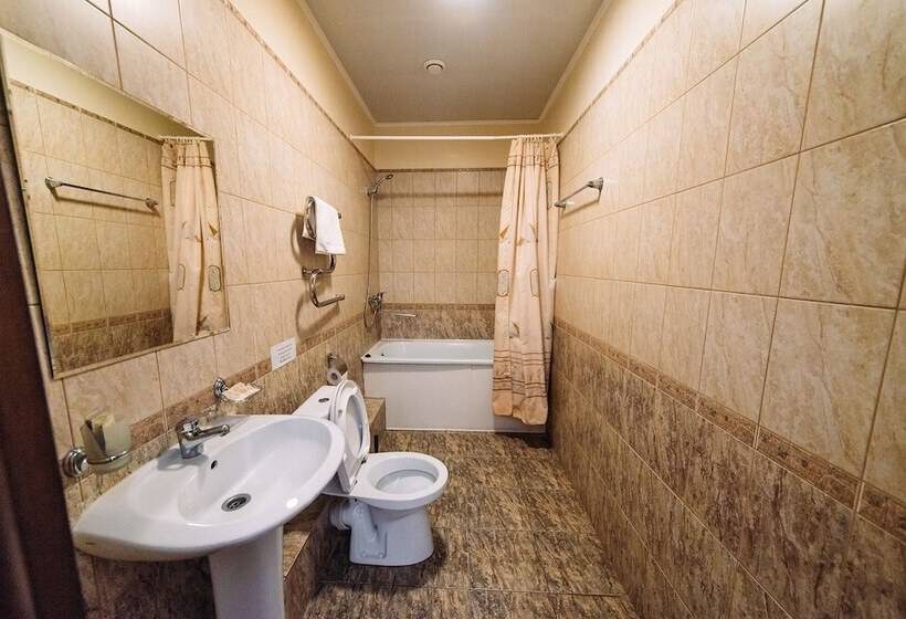 בית מלון כפרי Svoyak