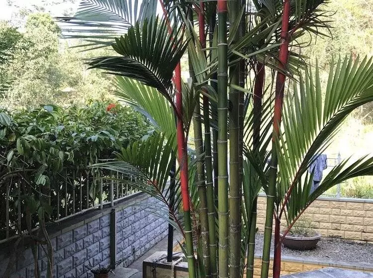 Hotel The Releaf
