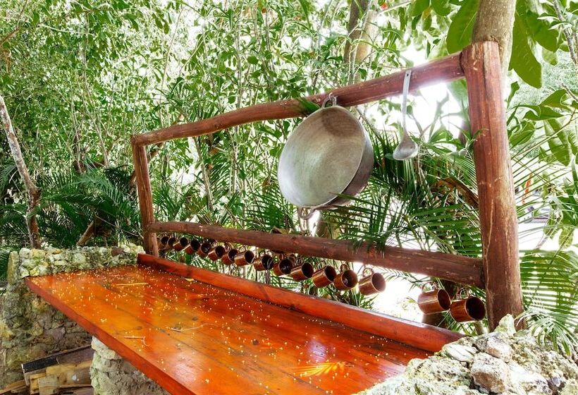 בית מלון כפרי Tropicana Suites Deluxe Beach Club & Pool