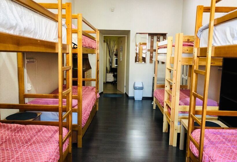 Отель Vladstar Inn Hostel