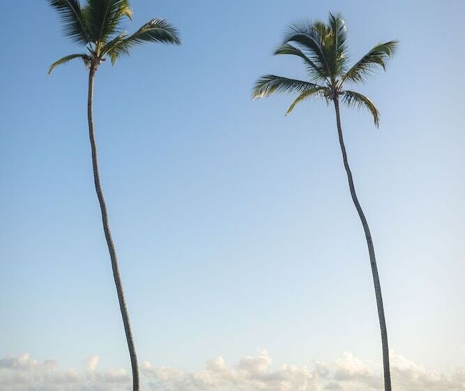 Ocean El Faro Resort - All Inclusive