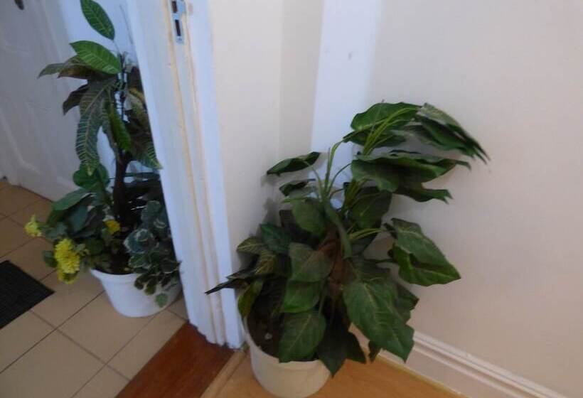 ホテル Daisy Lodge