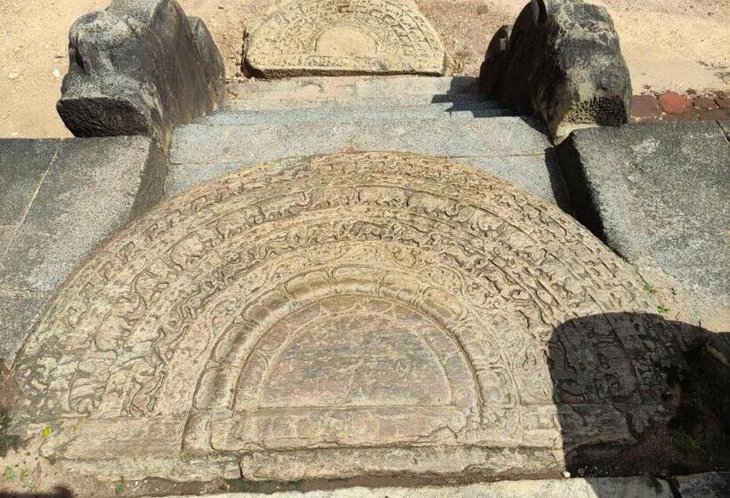 בית מלון כפרי Deer Garden Guest