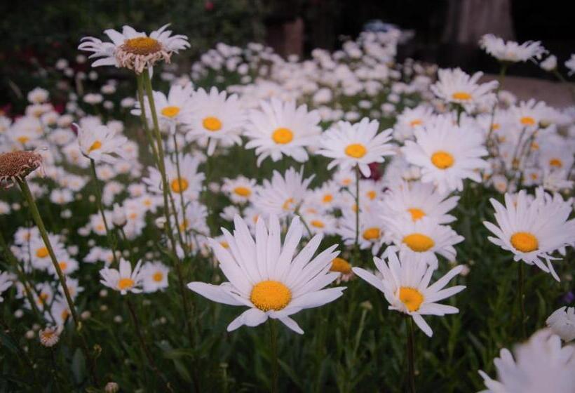 فندق Hosteria Las Cartas