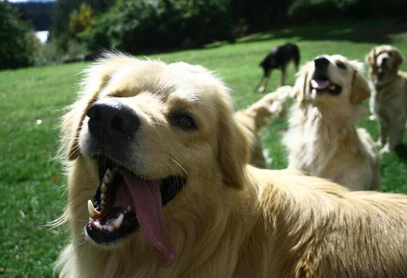 فندق Hosteria Las Cartas