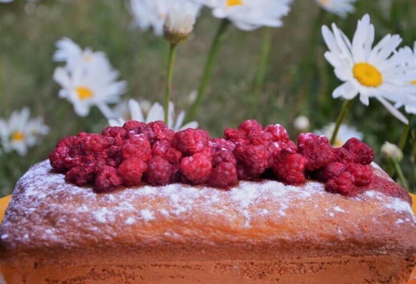 فندق Hosteria Las Cartas