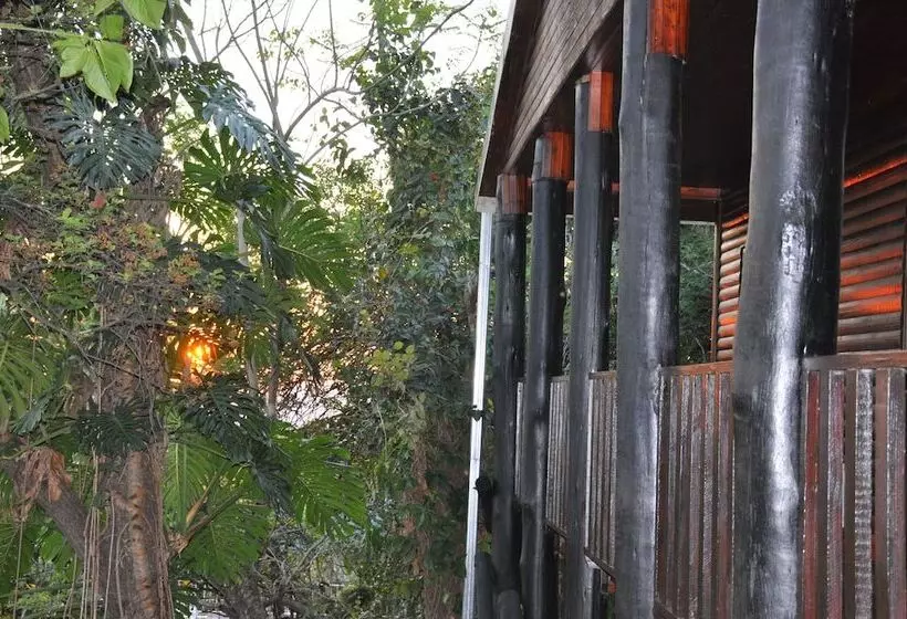 ホテル Impala Niezel Lodge