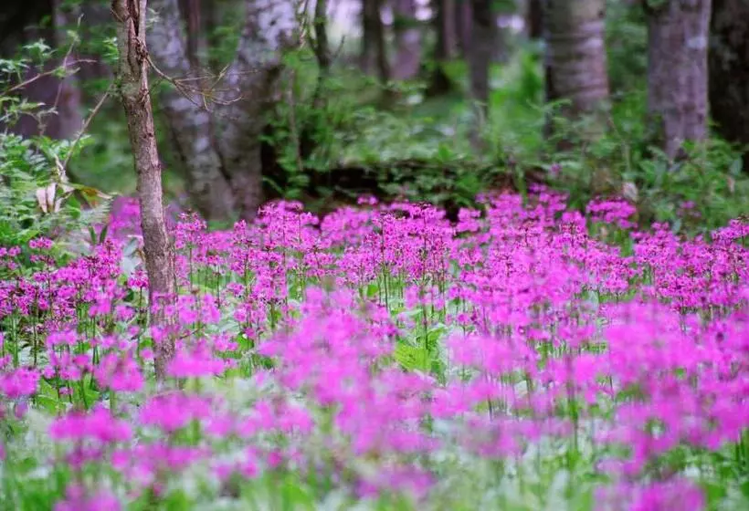 ホテル Moritsubetsu