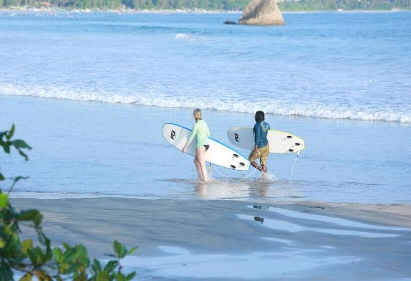 فندق Surf Lavender