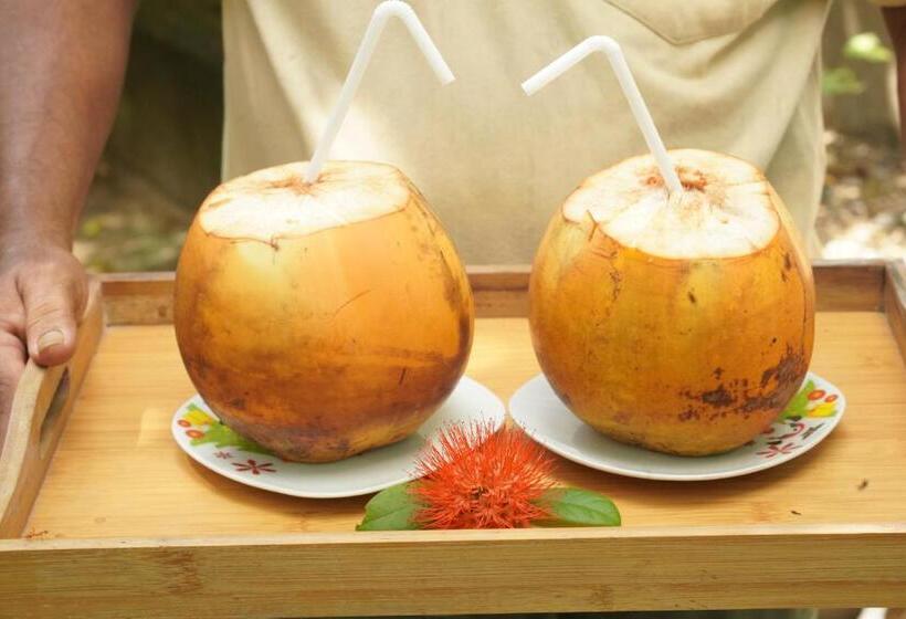 فندق Surf Lavender