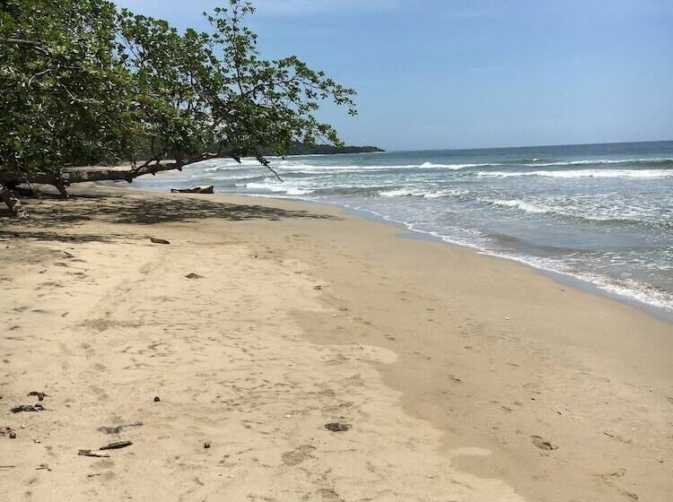 فندق The Dutch Rooms