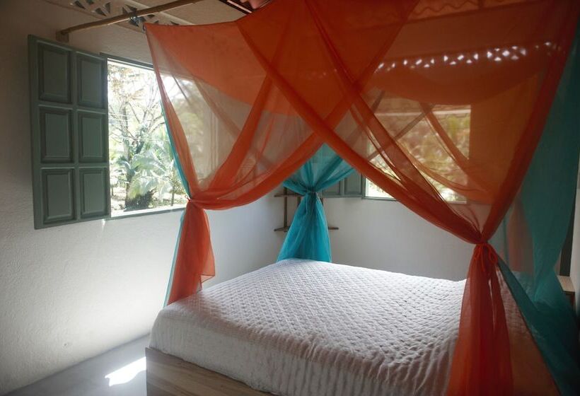 فندق The Dutch Rooms