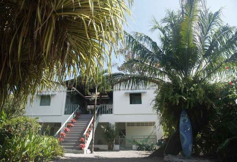 فندق The Dutch Rooms