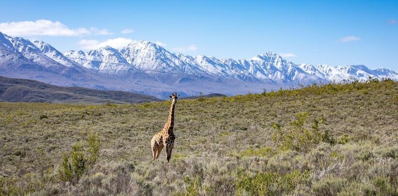 בית מלון כפרי Wildehondekloof Game Lodge