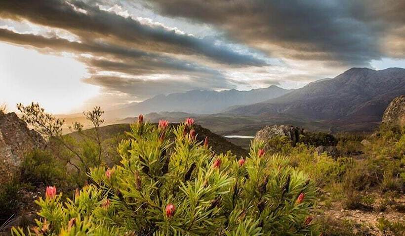 בית מלון כפרי Wildehondekloof Game Lodge