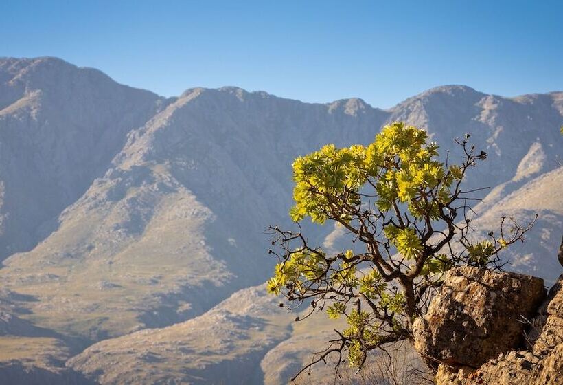 בית מלון כפרי Wildehondekloof Game Lodge