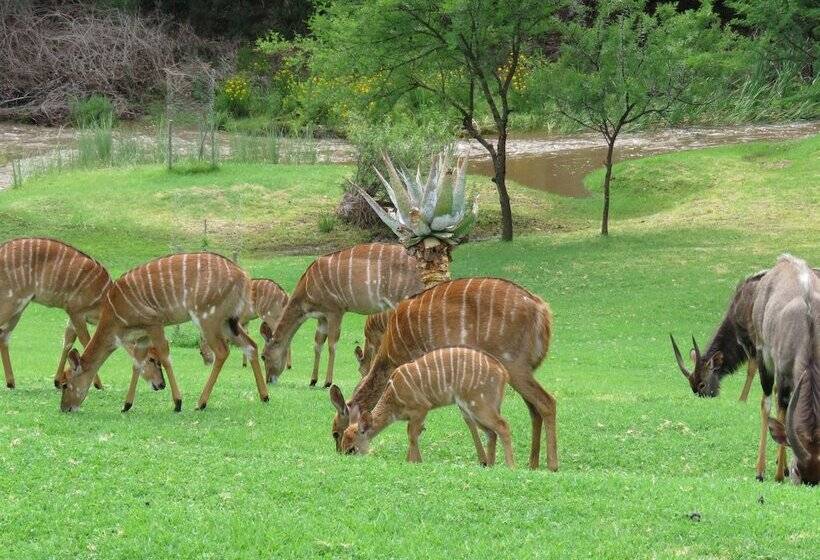 בית מלון כפרי Wildehondekloof Game Lodge