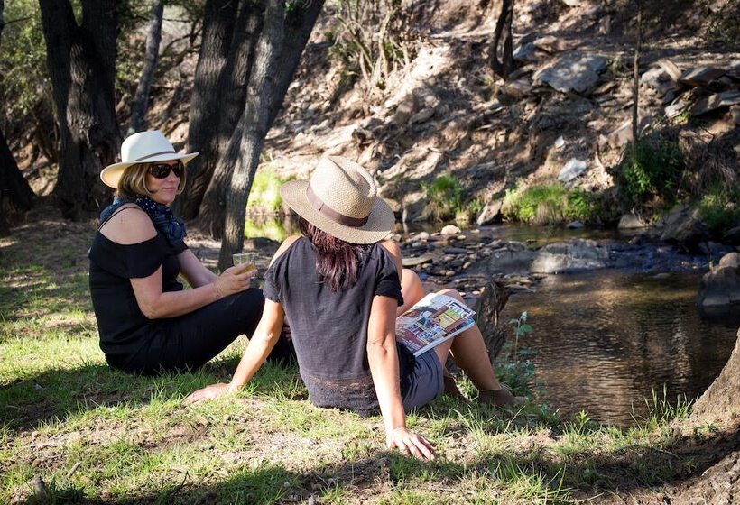 בית מלון כפרי Wildehondekloof Game Lodge