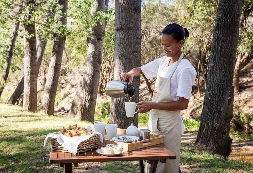 בית מלון כפרי Wildehondekloof Game Lodge