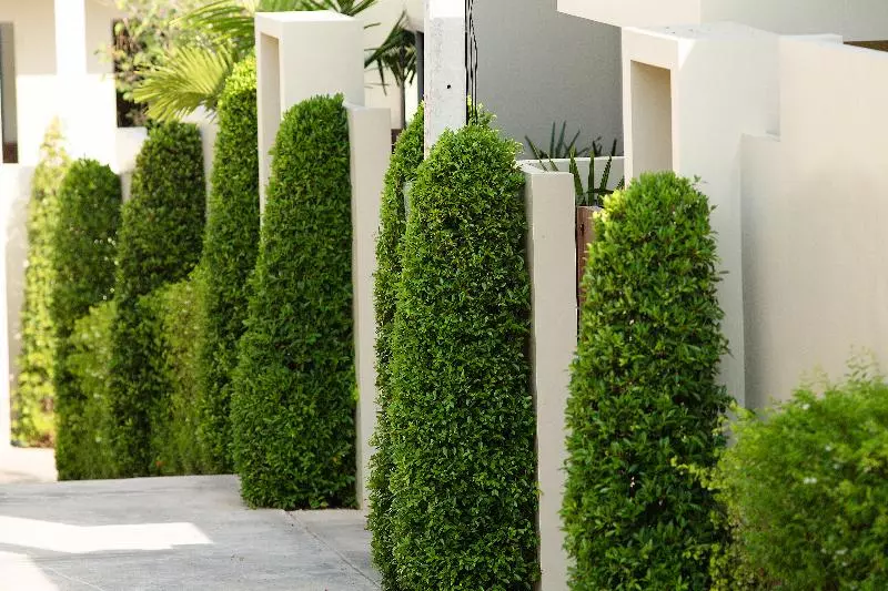 Shanti Estate By Tropiclook