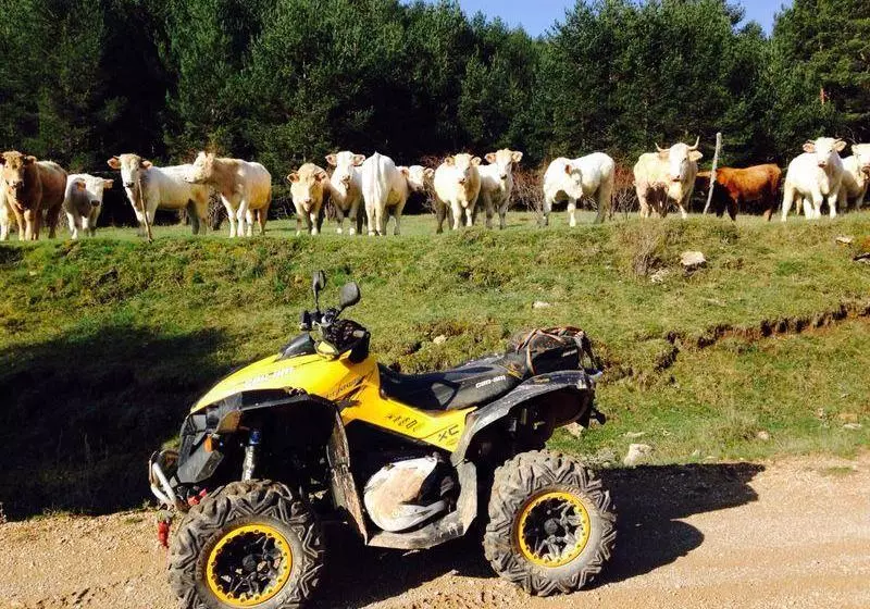 ホテル Casa Rural El Olmo