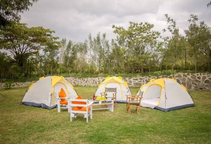 هتل Dove Nest Lodge