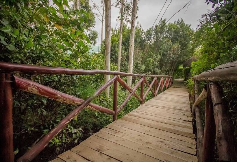 هتل Dove Nest Lodge