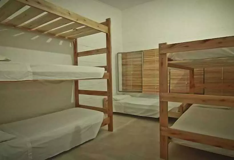 ホテル Hostel Punta Ballena Bar