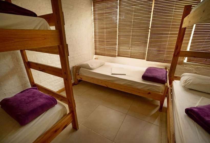 Hotel Hostel Punta Ballena Bar