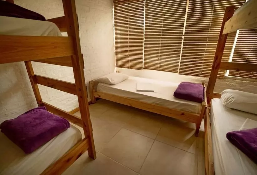 ホテル Hostel Punta Ballena Bar